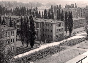 Škola (1964)